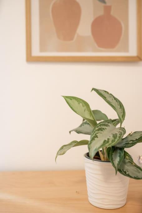Apartment Spacious And Flat In Spinola Bay *