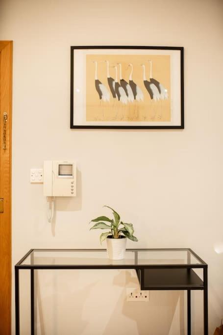 Apartment Spacious And Flat In Spinola Bay