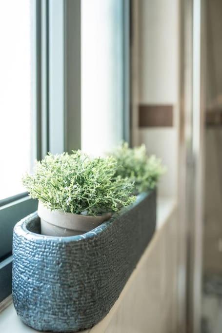 Spacious And Flat In Spinola Bay