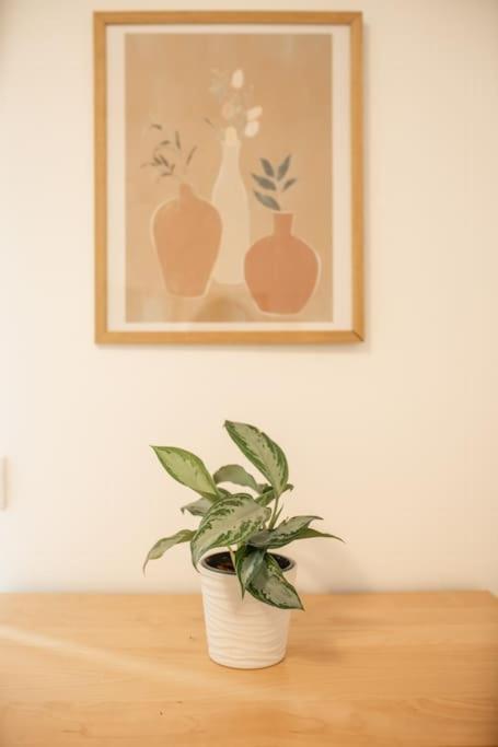 Spacious And Flat In Spinola Bay 公寓 *